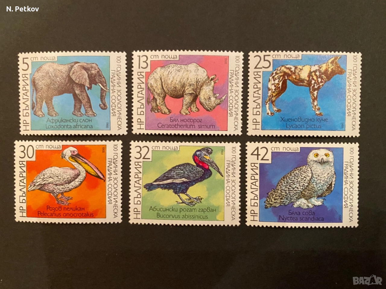 България, 100 години Зоопарк София, снимка 1