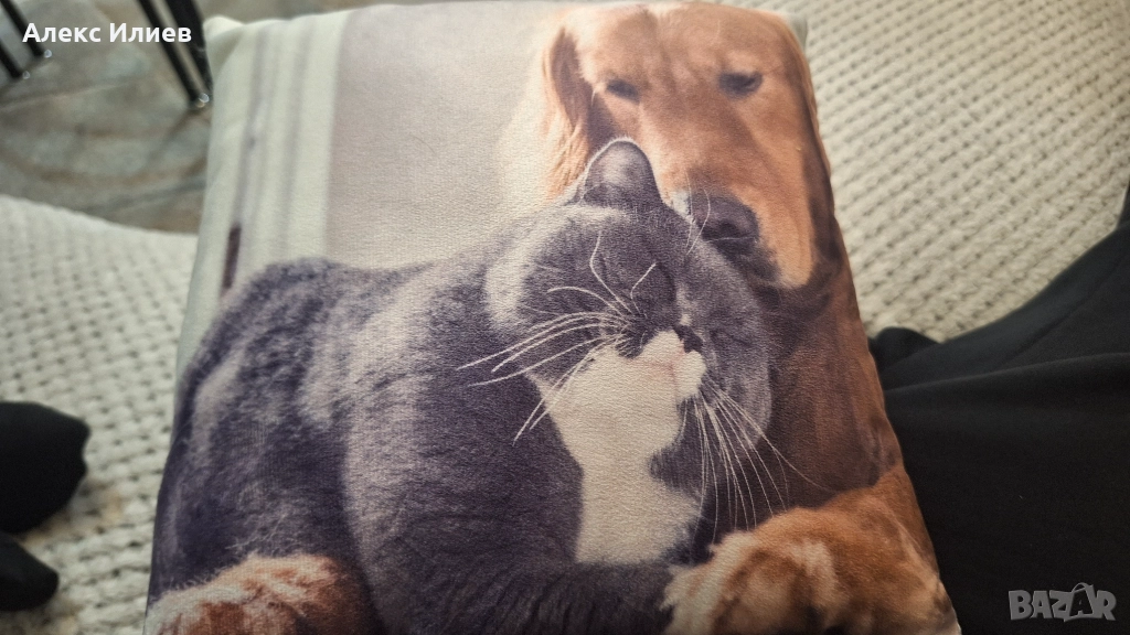 Вазглавница пес и мачка, снимка 1