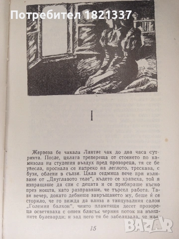 Вертеп от Емил Зола, снимка 5 - Художествена литература - 53379913