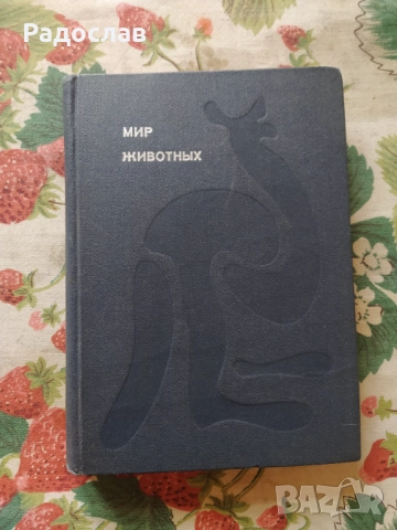 Мир животных  Игорь Акимушкин