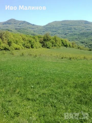продавам два имота в село Лакатник , снимка 6 - Земеделска земя - 55769447
