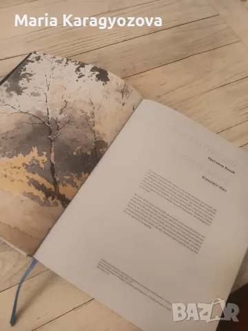 Константин Щъркелов, Самотникът скитник, каталог СГХГ, снимка 5 - Картини - 55981212