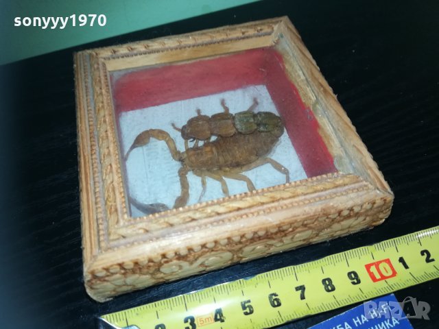 скорпион-внос france 1910201740, снимка 9 - Колекции - 30478693