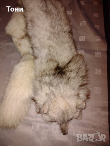  Шал яка от полярна бяла лисица , снимка 5 - Шапки - 19116831