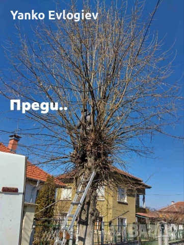 Ремонт или почистване , снимка 11 - Почистване на домове - 53249527