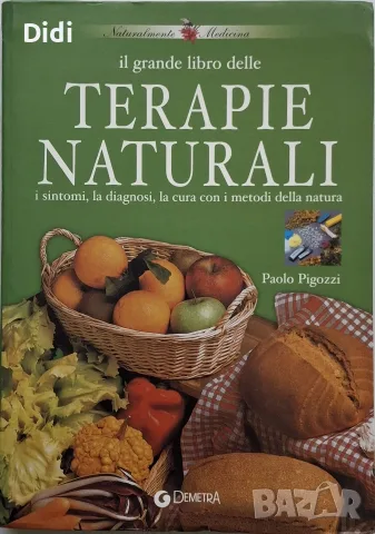 Paolo Pigozzi - Il grande libro delle Terapie naturali