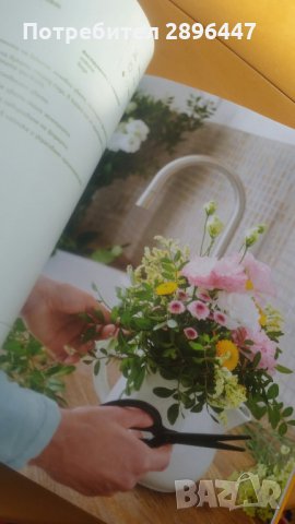 Книгата на шев Манчев и Шишков, снимка 3 - Колекции - 35569842