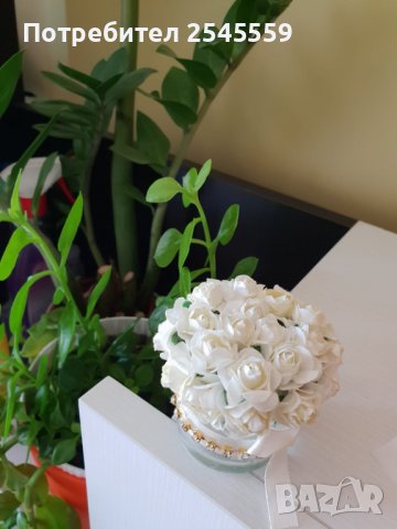 Сватбени подаръци за гости, снимка 4 - Подаръци за сватба - 36717957