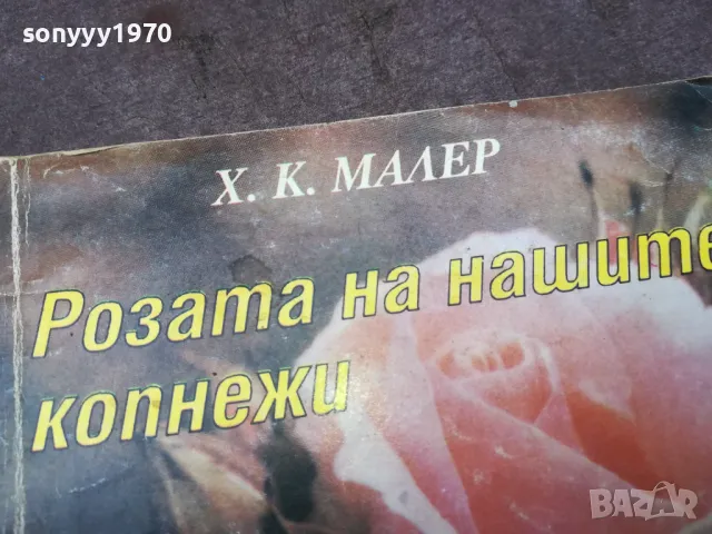 РОЗАТА НА НАШИТЕ КОПНЕЖИ 1002250528, снимка 4 - Художествена литература - 49049549