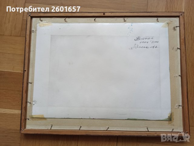 Красив акварел, А. Касабова, снимка 4 - Картини - 42747337