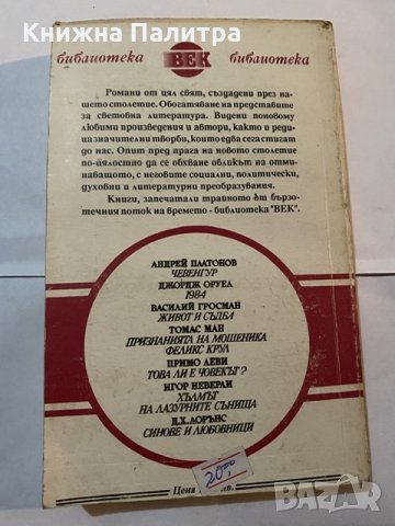 Чевенгур-Андрей Платонов, снимка 2 - Художествена литература - 31180911