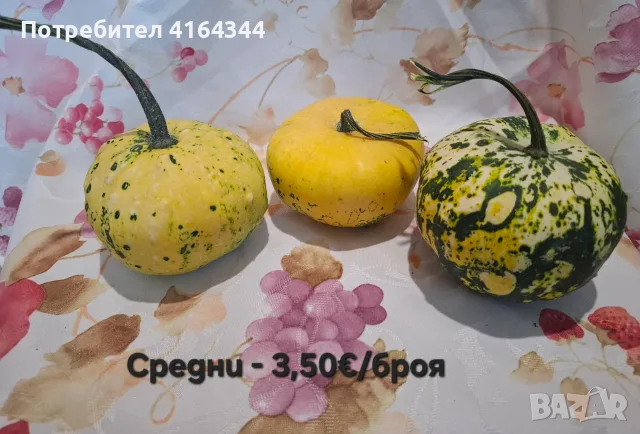 Естествени декоративни тикви, снимка 3 - Декорация за дома - 55722322