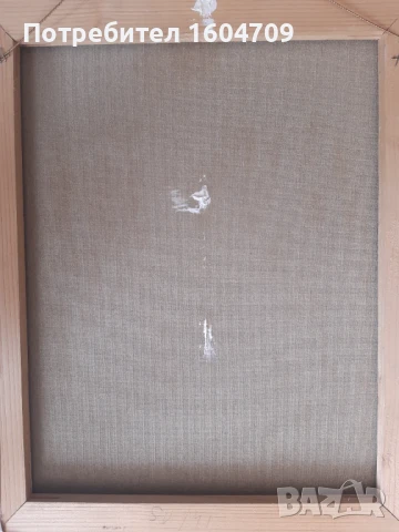 Картина Проф. Вихрони Попнеделев, снимка 8 - Картини - 50506355