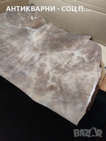 Стара Телешка Кожа 2.400кг. Дебелина 4.5мм. НОМЕР 1709., снимка 3 - Антикварни и старинни предмети - 53939919