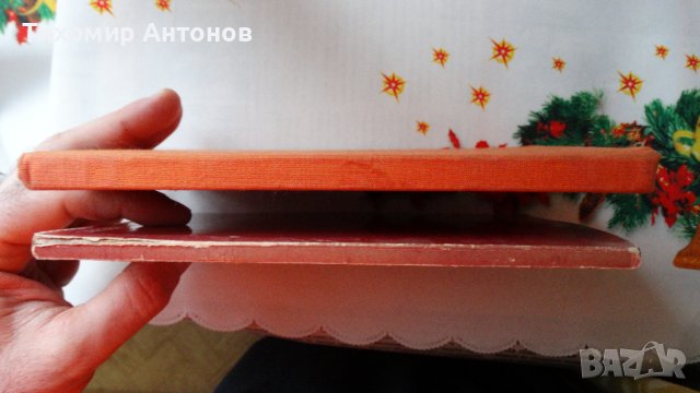 Петър Димитров-Рудар - Разкази за Георги Димитров, снимка 6 - Художествена литература - 44464505