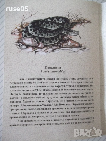 Книга "Змиите на Странджа-Спас Узунов/Иван Вълчев" - 14 стр., снимка 5 - Специализирана литература - 54097533