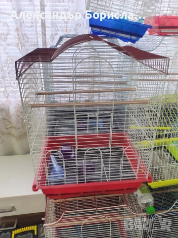 Клетки , снимка 4 - Папагали - 46040360