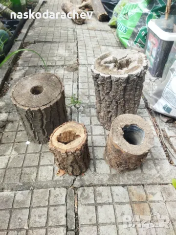 Пън, пънове, дънери с естествени дупки и без - за саксии, кашпи, декорация, снимка 14 - Саксии и кашпи - 27513634