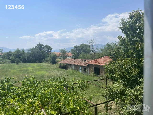 Къща с двор 2,2дка в с.Златовръх , снимка 8 - Къщи - 50954343