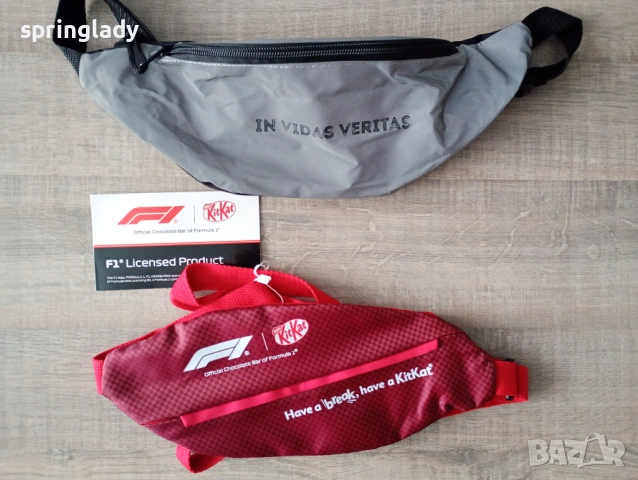 Дамски и унисекс аксесоари: чанта, чанта за кръст/ бананка, несесер, раница, снимка 4 - Чанти - 48925450