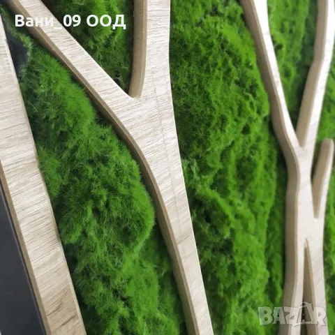 100см! огромно пано със скандинавски мъх, снимка 2 - Картини - 49843277