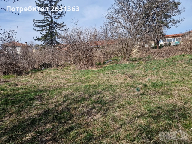 Имот Леденик, снимка 3 - Парцели - 54007082