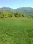 продавам два имота в село Лакатник , снимка 6