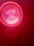 Лампа-инфрачервена-Филипс, снимка 2