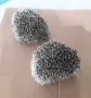 Декоративни мини таралежи , снимка 6