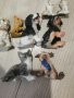 Куче коте кучета котки котка керамична гипспва гипсови фигурки фигурка декор, снимка 1 - Статуетки - 42359361