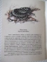 Книга "Змиите на Странджа-Спас Узунов/Иван Вълчев" - 14 стр., снимка 5