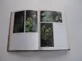 Книга Билките в България и използването им Иванов , снимка 4