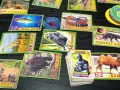 Различни фигурки и карти с животни, снимка 8