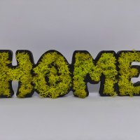 Декоративен надпис HOME със скандинавски мъх, снимка 1 - Декорация за дома - 42472578
