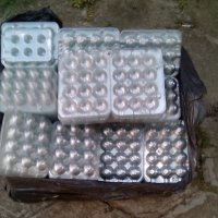 Опаковки за пъдпъдъчи яйца, снимка 2 - Други стоки за животни - 29543168