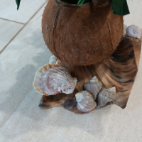 ваза с рози и кокос море сувенир, декорация подарък, снимка 11 - Декорация за дома - 22703256