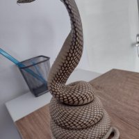 Препарирана кобра - истинска, снимка 4 - Други ценни предмети - 43921542