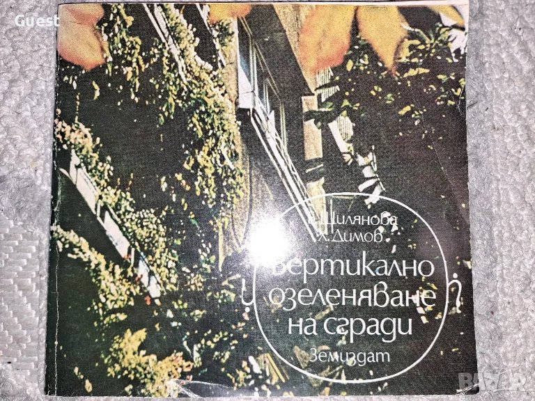 Вертикално озеленяване на сгради , снимка 1