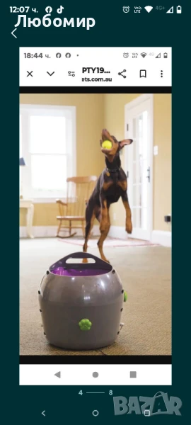 PetSafe автоматичен изстрелвач на топки за кучета , снимка 1