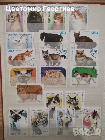 Класьор с марки /котки / 147 бр., снимка 6 - Филателия - 56504433