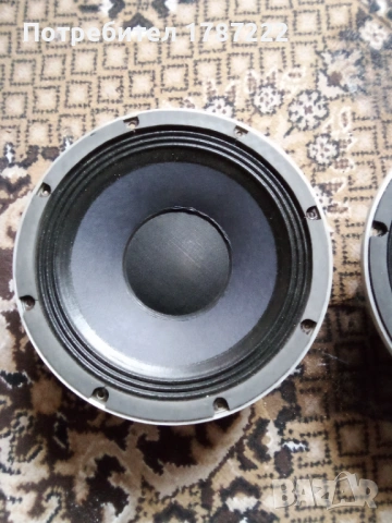 Говорители 10 инча., снимка 3 - Тонколони - 54176784