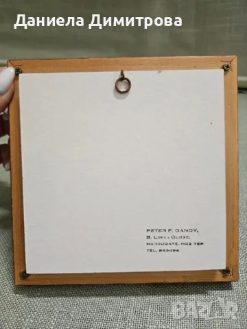 2 броя 3Д мини картини с дървена рамка и стъкло от Питър Ганди, снимка 9 - Картини - 48404884