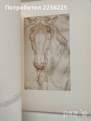 Папка - албум с рисунки на Пизанело до Тинторето 1957г, снимка 4 - Специализирана литература - 53935824