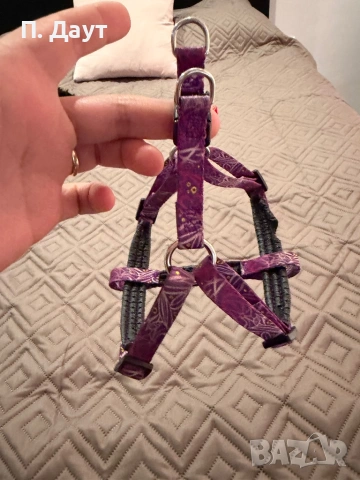 Нагръдник за куче , снимка 3 - Други - 54202357