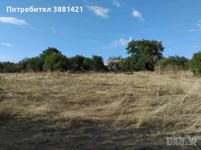 Продава къща в с. Житосвят, обл. Бургас , снимка 4 - Къщи - 51882017