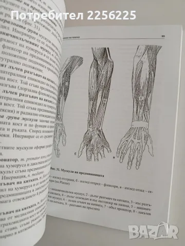Анатомия на човека, снимка 7 - Специализирана литература - 56289267