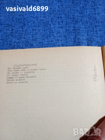 Стефан Станчев - Дневник в зелено и синьо , снимка 6 - Българска литература - 53911598