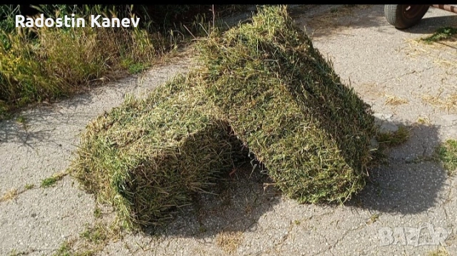 Бали люцерна супер качество и сено 