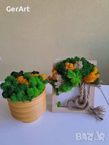 Кашпа със скандинавски мъх, снимка 2 - Декорация за дома - 37545080