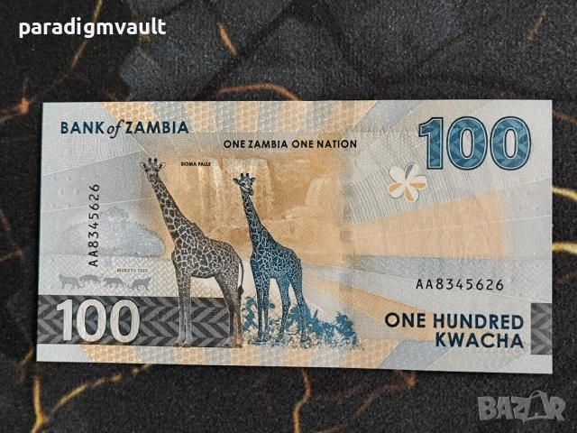 Банкнота - Замбия - 100 квача UNC | 2024г., снимка 2 - Нумизматика и бонистика - 53922938